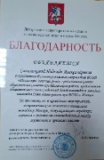 ТДФ- аппарат мэра
